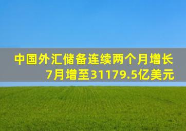 中国外汇储备连续两个月增长 7月增至31179.5亿美元